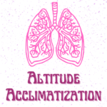 Altitude acclimatization