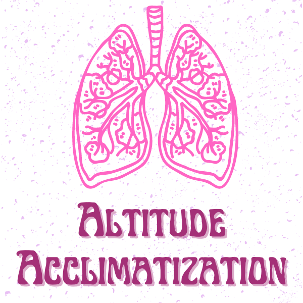 Altitude acclimatization