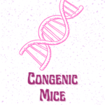 Congenic mice genetically identical except for one single locus