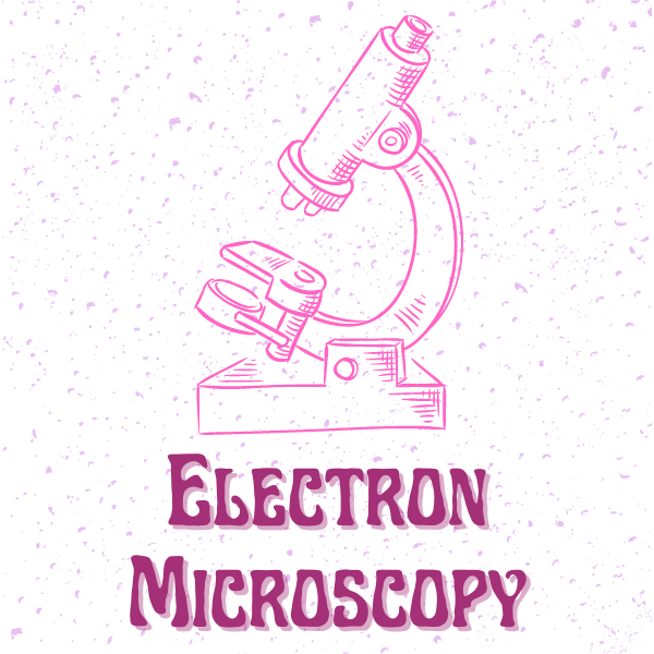 Secondary antibody in electron microscopy