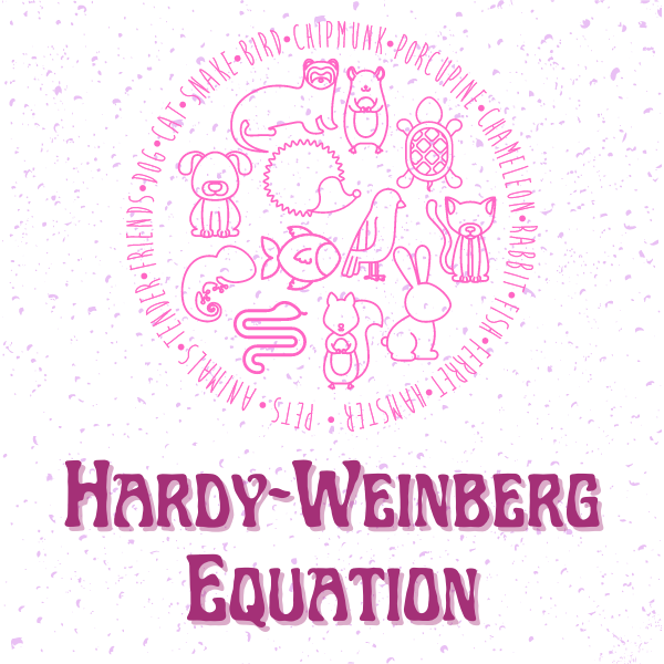Hardy-Weinberg Equilibrium