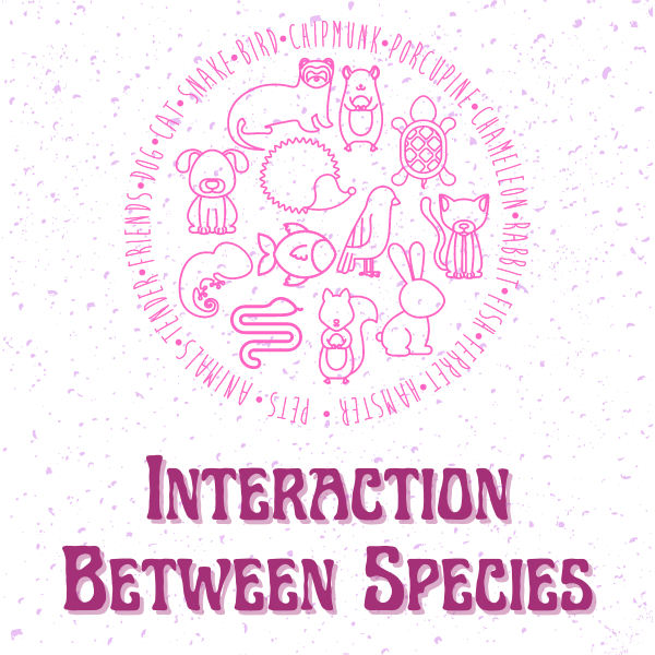 interaction between species
