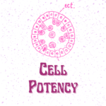 cell potency of the inner cell mass
