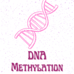 dna methylation